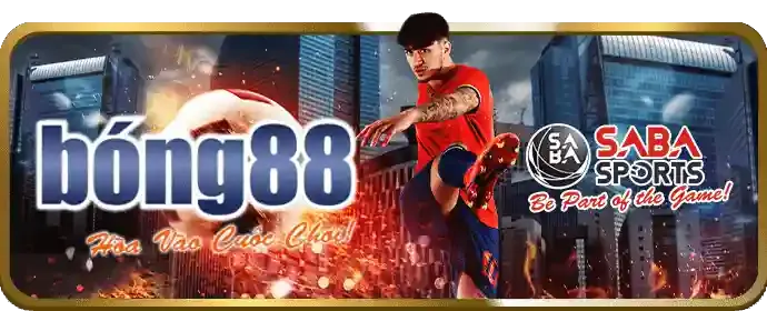 Nhập thông tin đăng nhập momo88